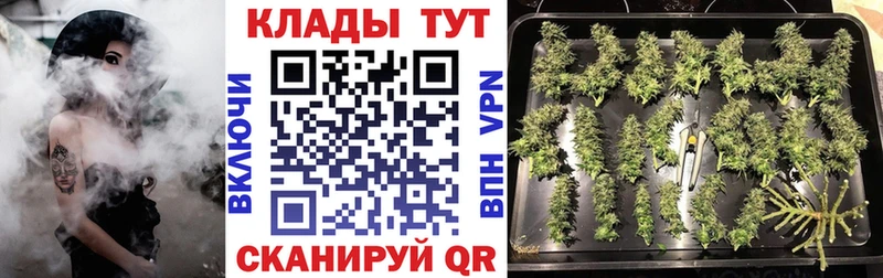 Купить закладку Владимир COCAIN  Альфа ПВП  Гашиш  Марихуана  Мефедрон 