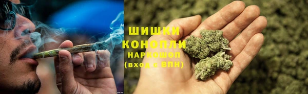 ПСИЛОЦИБИНОВЫЕ ГРИБЫ Шадринск
