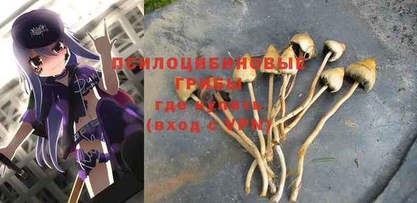 МДМА Шарыпово