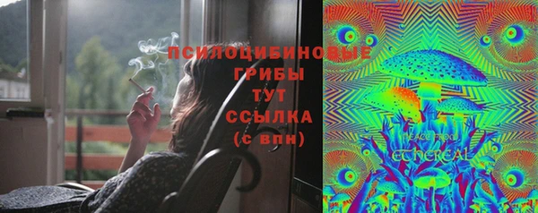 мяу мяу мука Чердынь